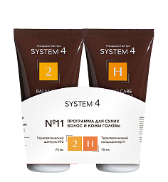 System 4 Program 11
