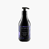 Paul Rivera Absolute Sleek  Taming Shampoo