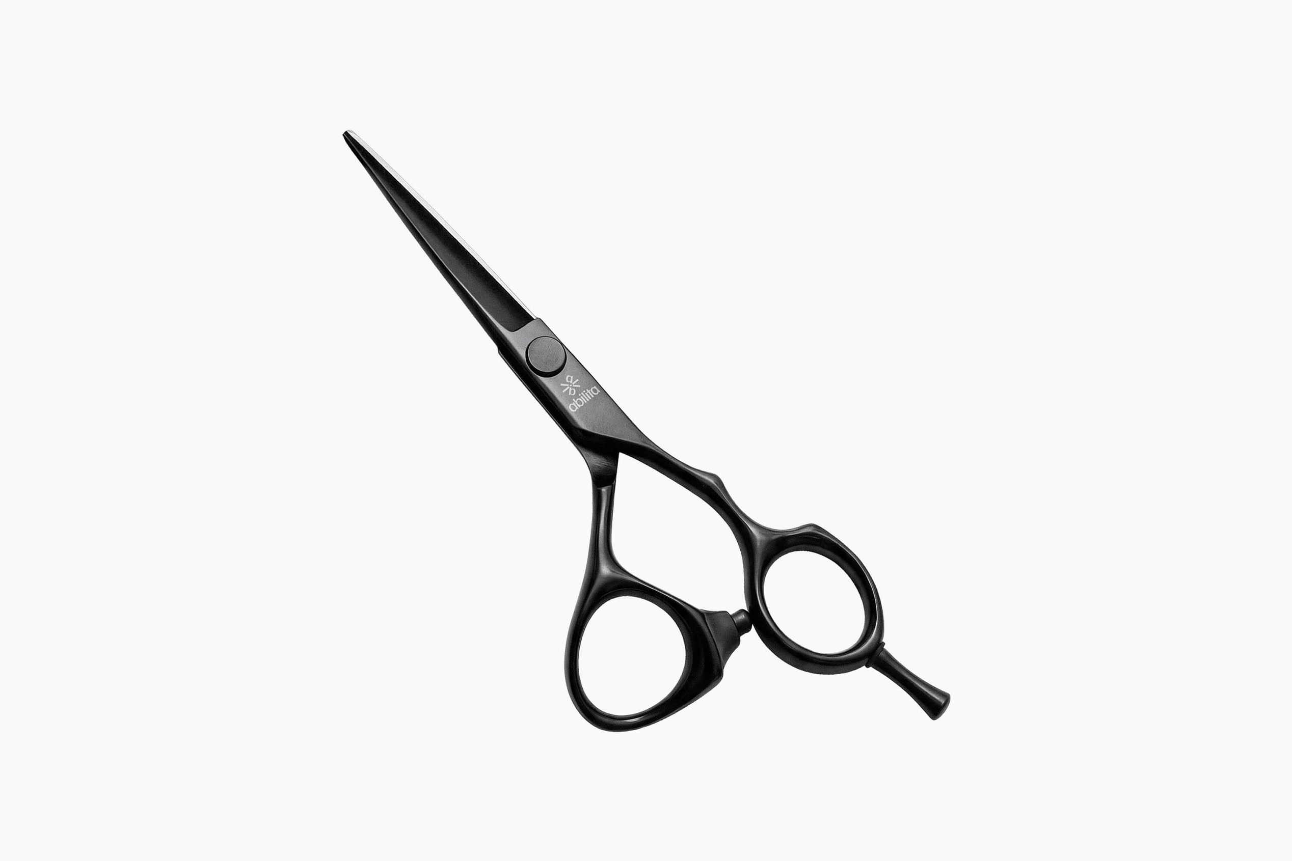 Abilita Master Edge Ergo 5.5 фото 1