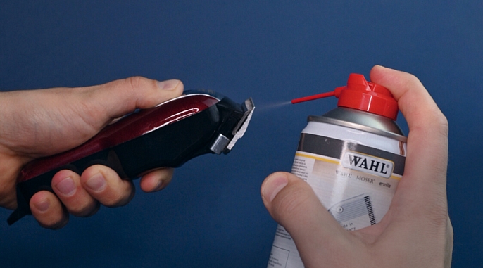 Wahl