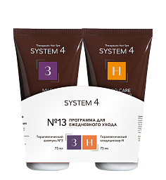 System 4 Program 13