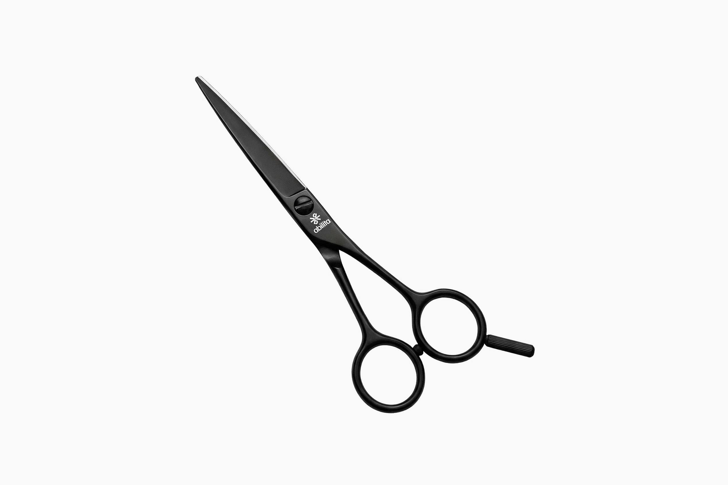 Abilita Master Edge Classic 5.5 фото 1