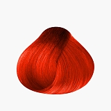 SensiDO Match Blooming Orange