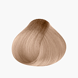 Mone Professional Art 17 10.05